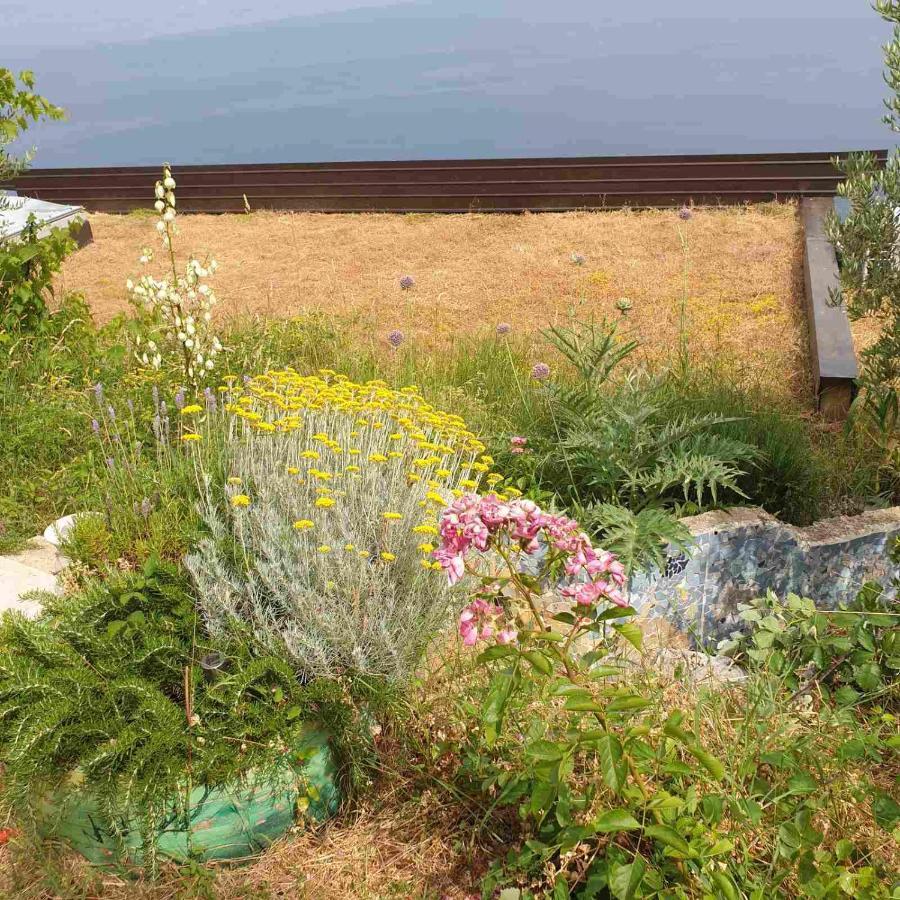Mary'S Garden Villa Tulisevica Exterior foto