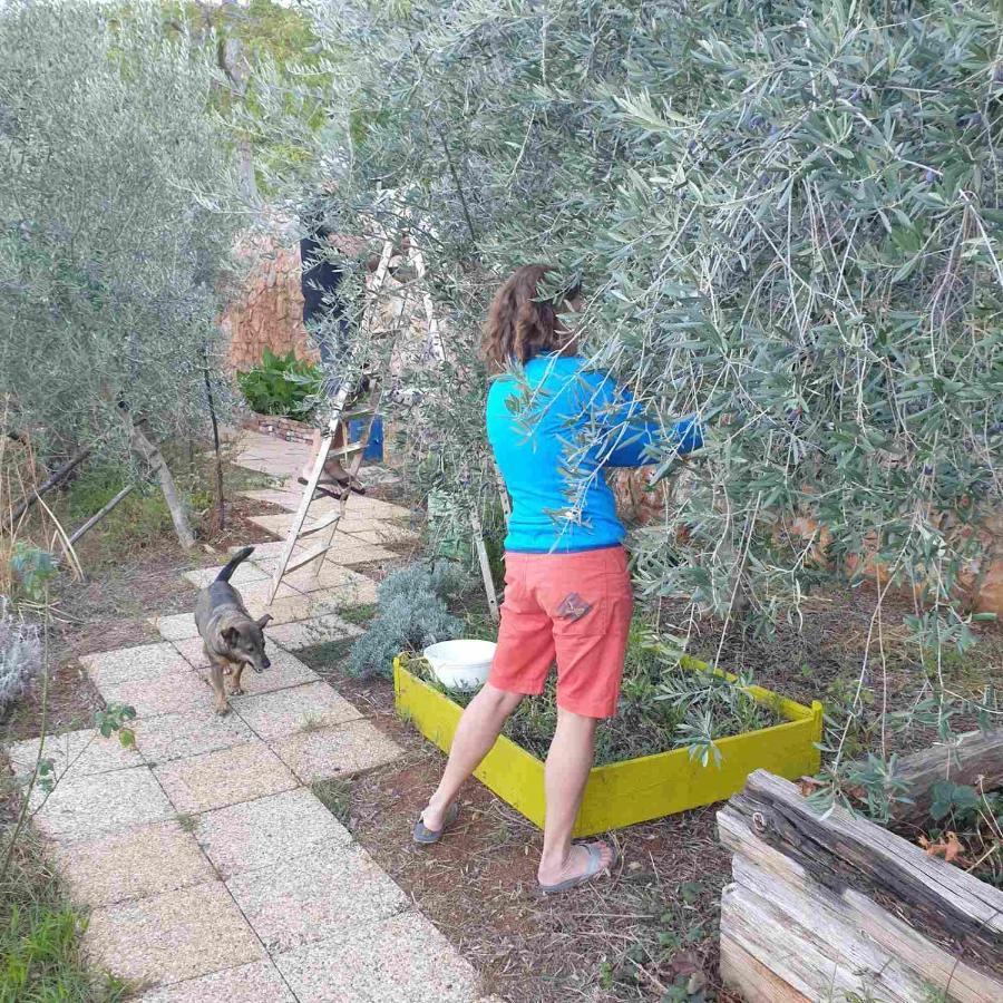 Mary'S Garden Villa Tulisevica Exterior foto