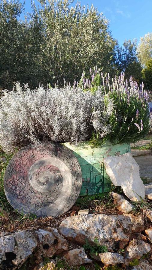 Mary'S Garden Villa Tulisevica Exterior foto
