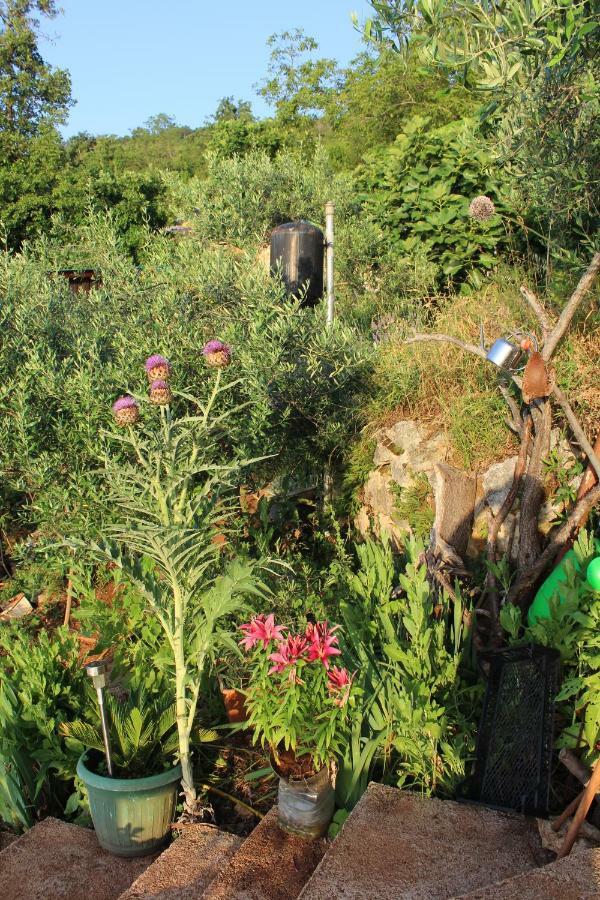 Mary'S Garden Villa Tulisevica Exterior foto