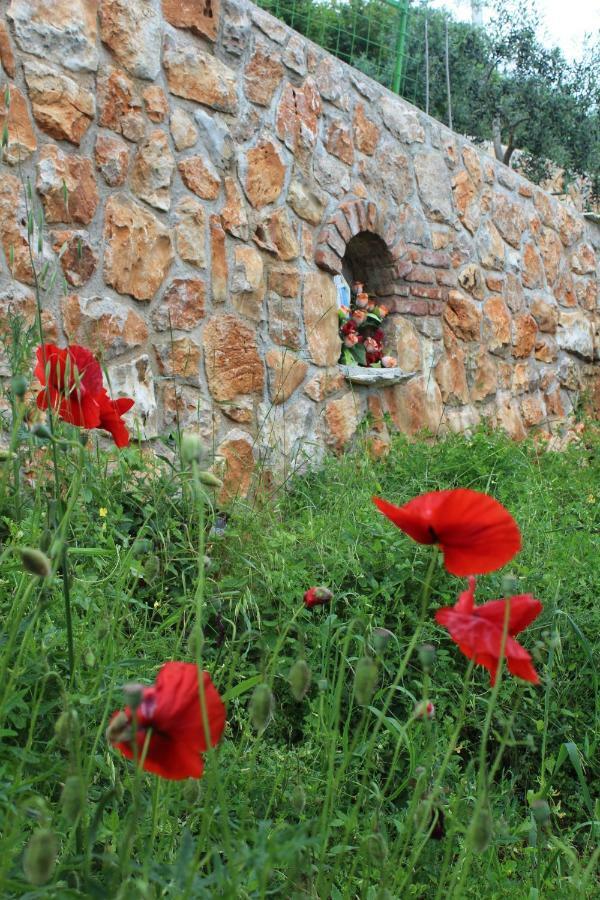 Mary'S Garden Villa Tulisevica Exterior foto